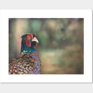 Pheasant Life Posters and Art